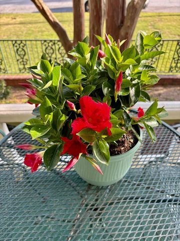 201 7th Street, Columbus, GA 31901