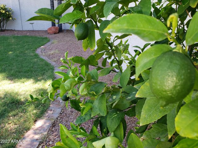 20222 N 61ST Avenue, Glendale, AZ 85308