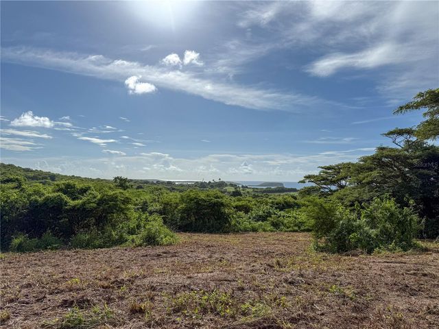 PR-201, Vieques, PR 00765