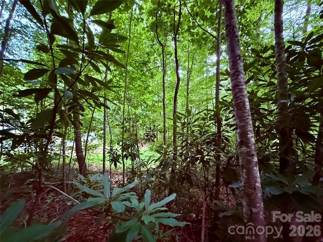 TBD Parkway View Lane L1, Penrose, NC 28766