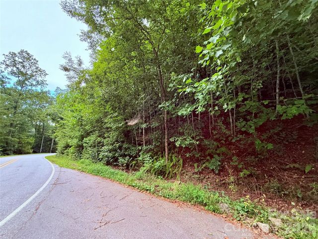 TBD Parkway View Lane L1, Penrose, NC 28766