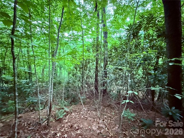 TBD Parkway View Lane L1, Penrose, NC 28766