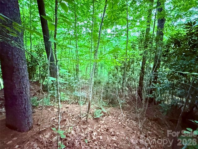 TBD Parkway View Lane L1, Penrose, NC 28766
