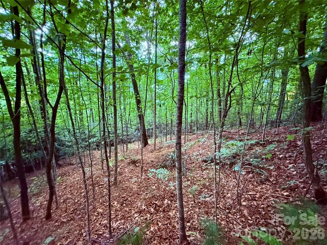 TBD Parkway View Lane L1, Penrose, NC 28766