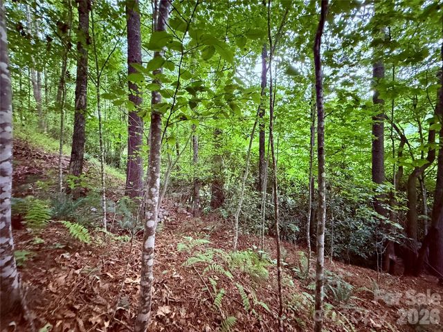 TBD Parkway View Lane L1, Penrose, NC 28766