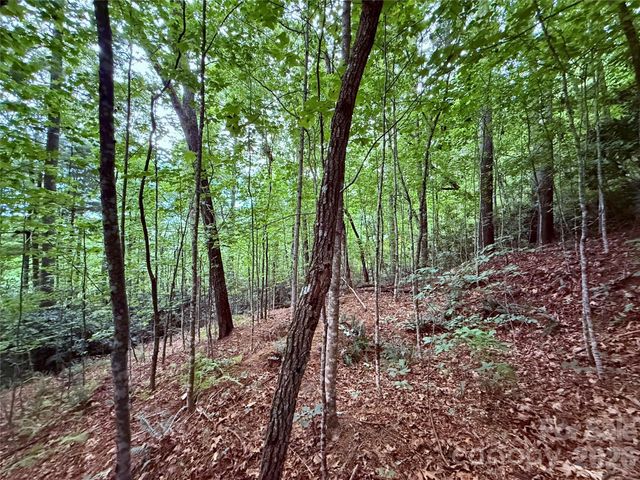 TBD Parkway View Lane L1, Penrose, NC 28766