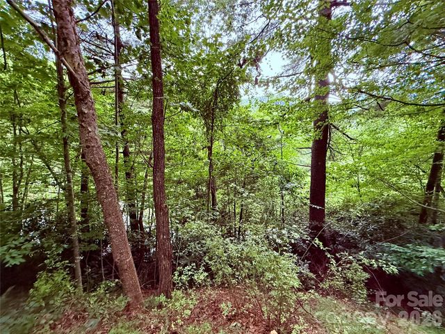 TBD Parkway View Lane L1, Penrose, NC 28766