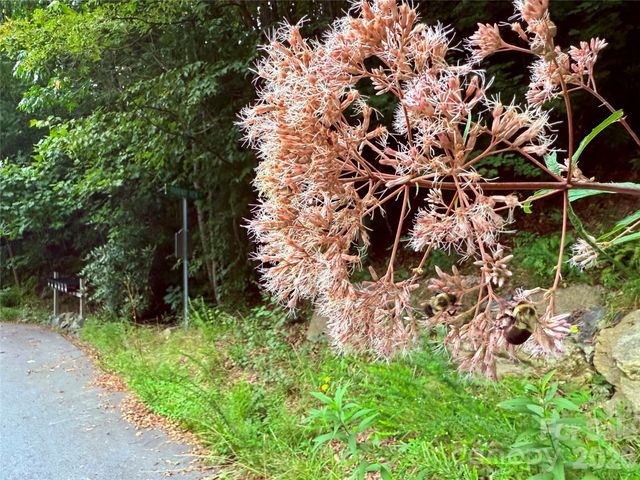 TBD Parkway View Lane L1, Penrose, NC 28766