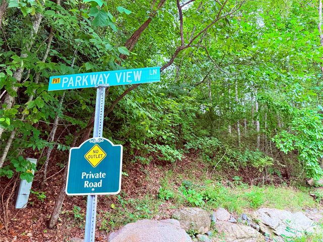 TBD Parkway View Lane L1, Penrose, NC 28766