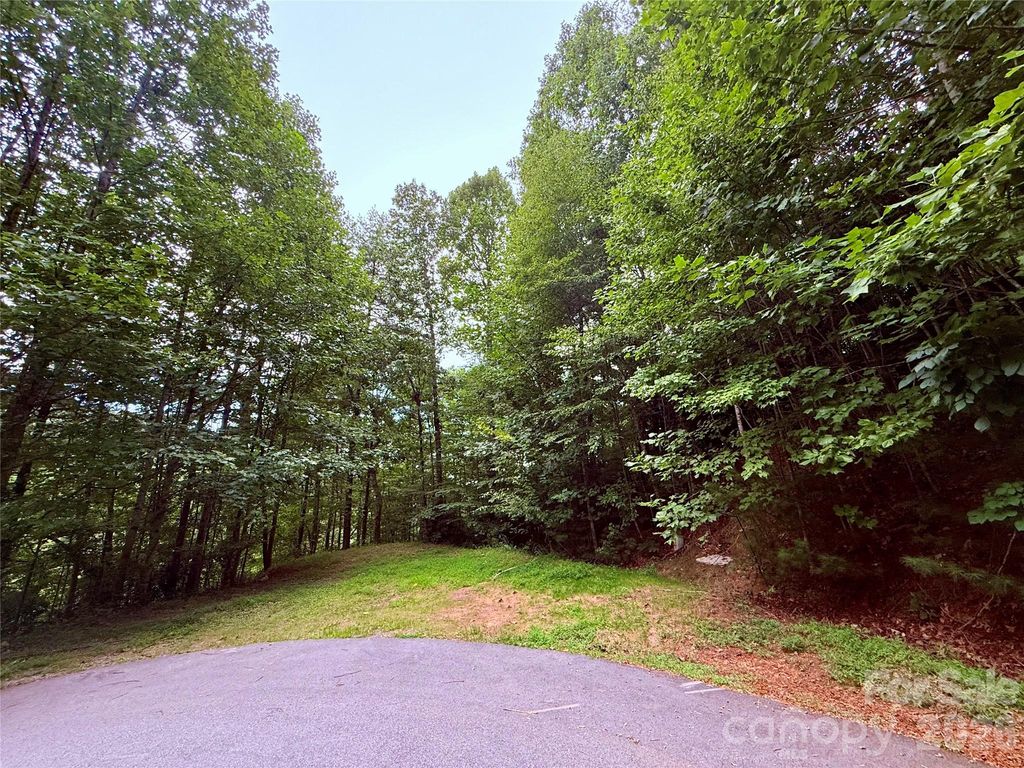 TBD Parkway View Lane L1, Penrose, NC 28766