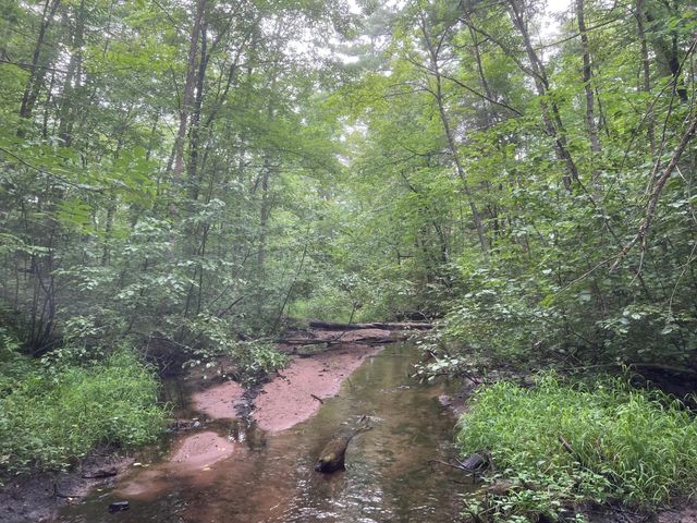 N4385 Red Oak Lane, Stone Lake, WI 54876