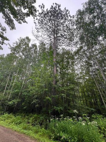 N4385 Red Oak Lane, Stone Lake, WI 54876