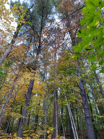 N4385 Red Oak Lane, Stone Lake, WI 54876