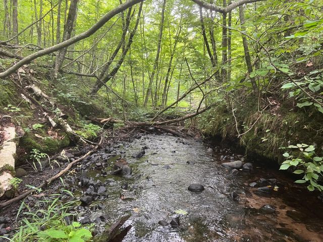 N4385 Red Oak Lane, Stone Lake, WI 54876