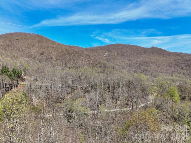 4823 Max Patch Road, Clyde, NC 28721