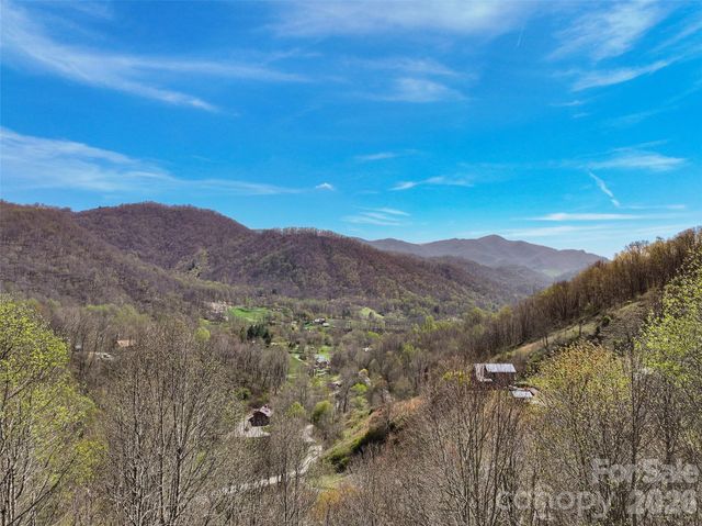4823 Max Patch Road, Clyde, NC 28721