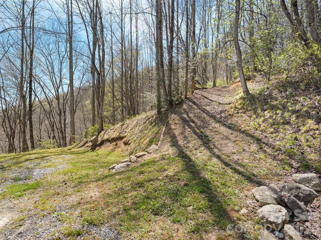 4823 Max Patch Road, Clyde, NC 28721