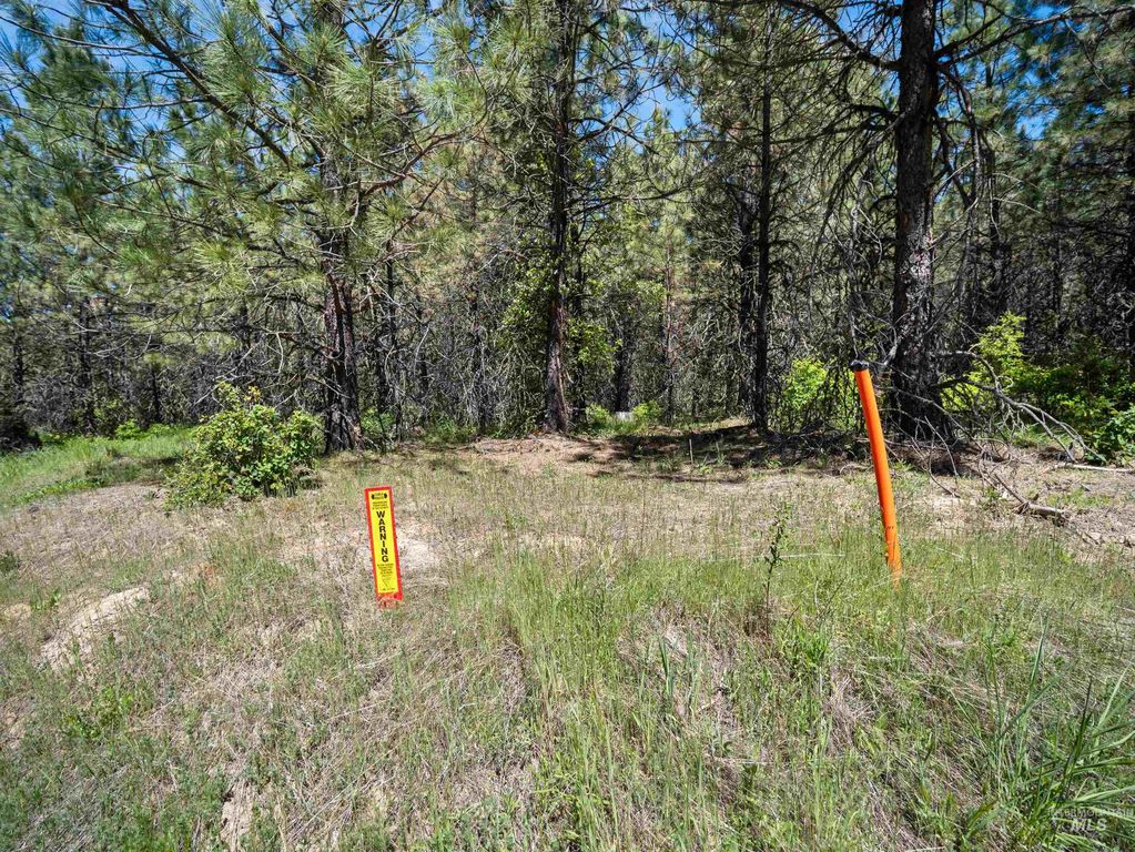 0 Timberline Heights, Parcel 6, Weippe, ID 83553 photo 2