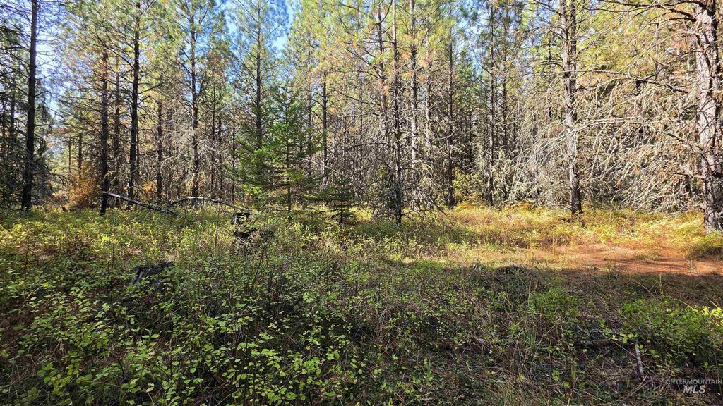 0 Timberline Heights, Parcel 6, Weippe, ID 83553 photo 3