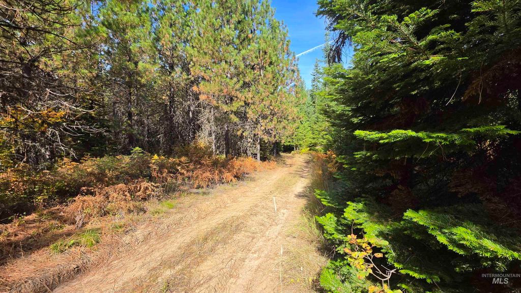 0 Timberline Heights, Parcel 6, Weippe, ID 83553 photo 4