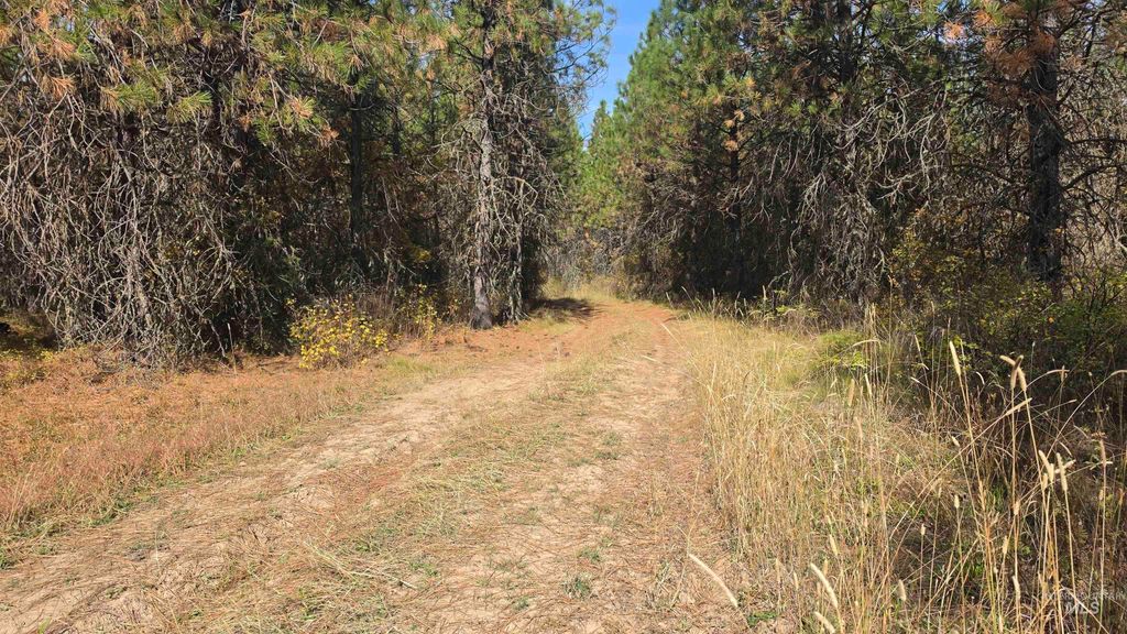 0 Timberline Heights, Parcel 6, Weippe, ID 83553 photo 5
