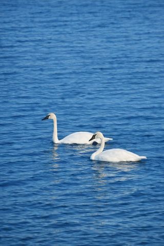 7738 N Indian Lake Drive, Pavilion Twp, MI 49088