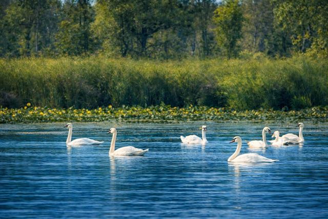 7738 N Indian Lake Drive, Pavilion Twp, MI 49088