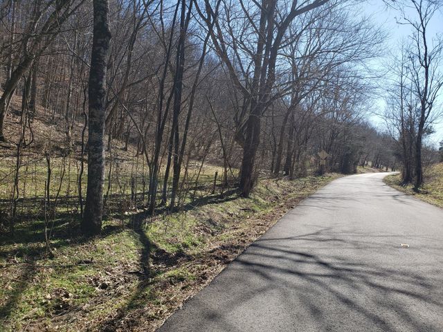 1236 Buckeye Rd, Fayetteville, TN 37334