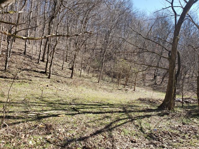 1236 Buckeye Rd, Fayetteville, TN 37334