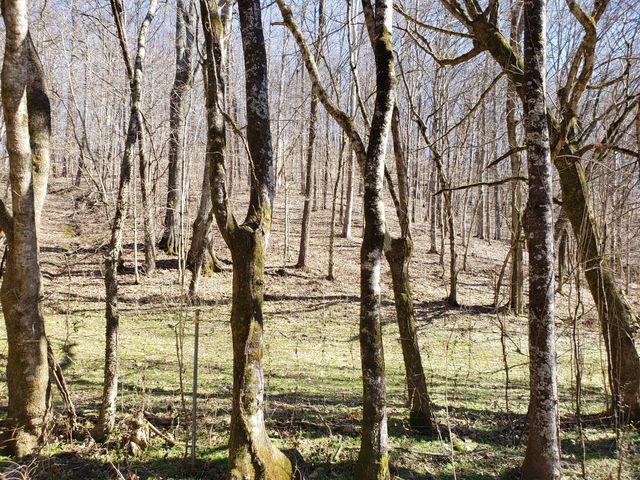 1236 Buckeye Rd, Fayetteville, TN 37334