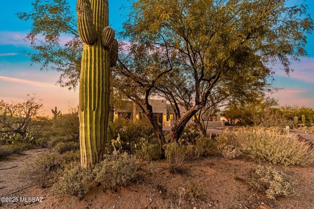 12265 N Durham Wash Drive, Marana, AZ 85658