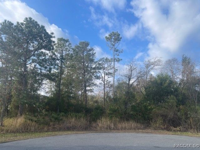 13000 Phoebe Court, Weeki Wachee, FL 34614