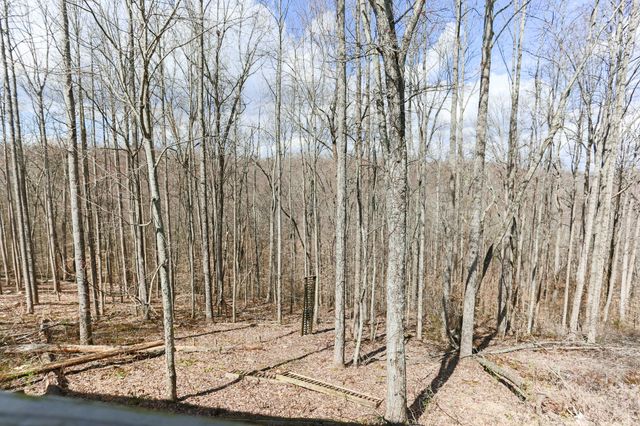 161 Shiloh Ln, Smithville, TN 37166