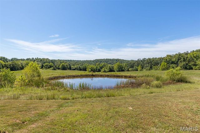 1121 Madison 92103, Fredericktown, MO 63645