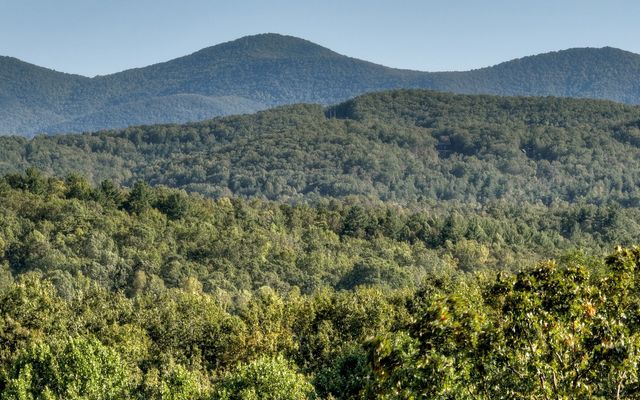 375 Blueberry Ridge, Morganton, GA 30560