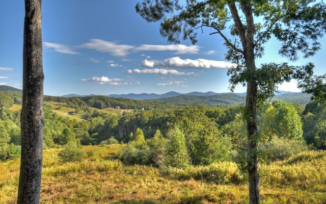 375 Blueberry Ridge, Morganton, GA 30560