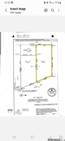 24225,24229 Loblolly Ln, Denham Springs, LA 70726