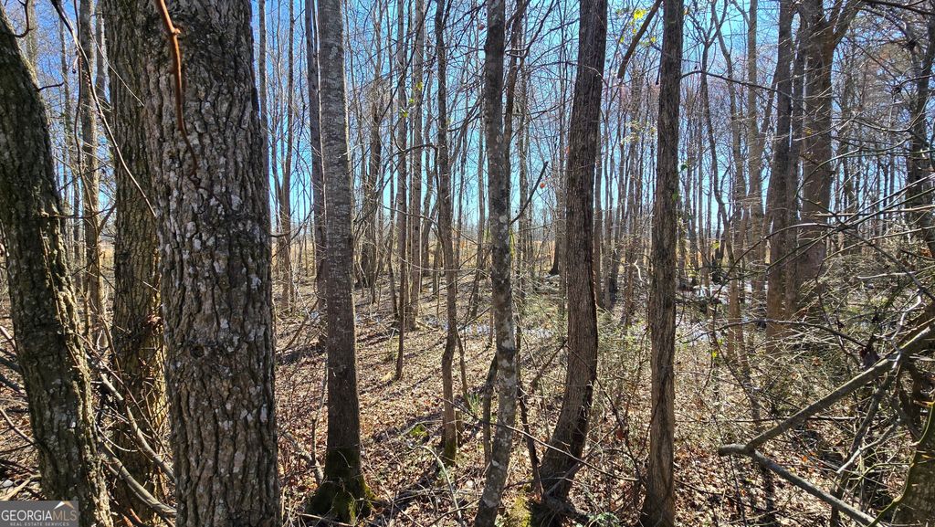 1112 Spring Creek Circle, Griffin, GA 30223 — photo 2