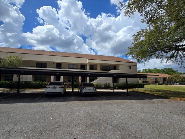 7838 NIAGARA AVENUE 305, Tampa, FL 33617