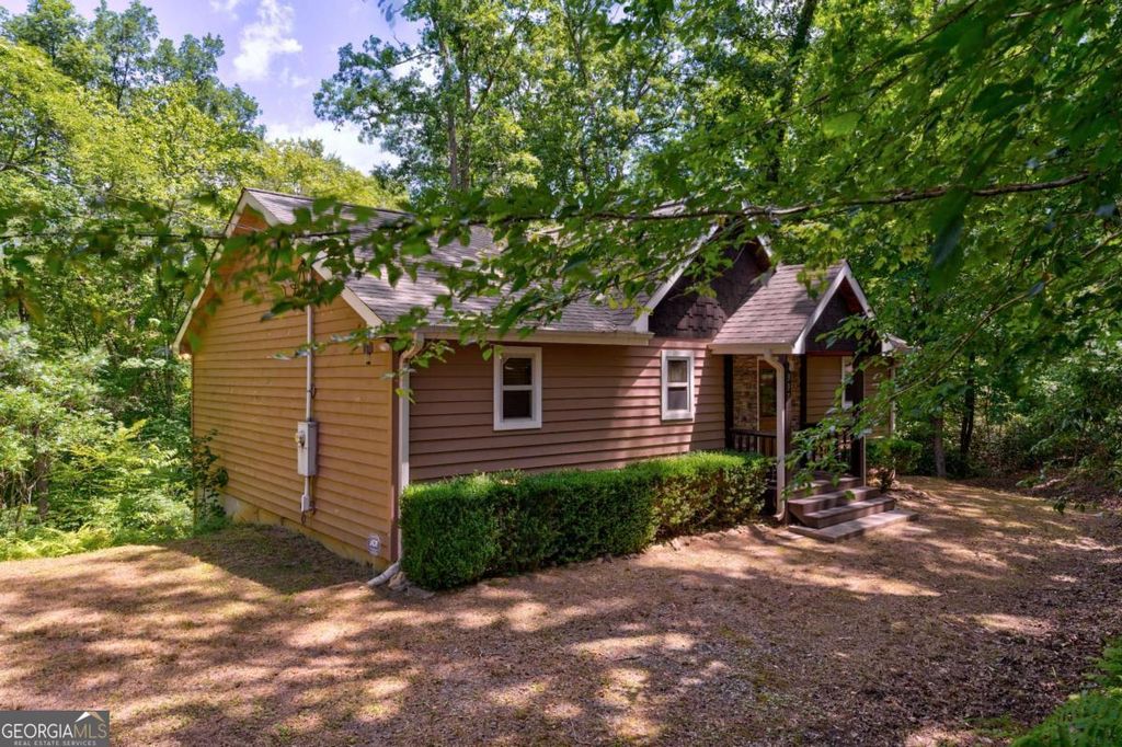 337 Branch Creek Road 1, Blue Ridge, GA 30513