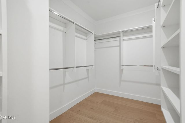 115 Station Way, Johnson City, TN 37615