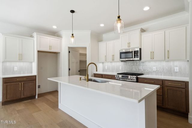 115 Station Way, Johnson City, TN 37615