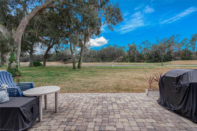 1981 TURNBULL LAKES DRIVE, New Smyrna Beach, FL 32168