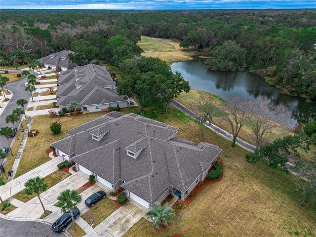 1981 TURNBULL LAKES DRIVE, New Smyrna Beach, FL 32168