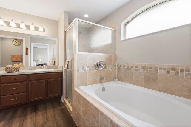 719 VINEYARD RESERVE COURT, Seffner, FL 33584