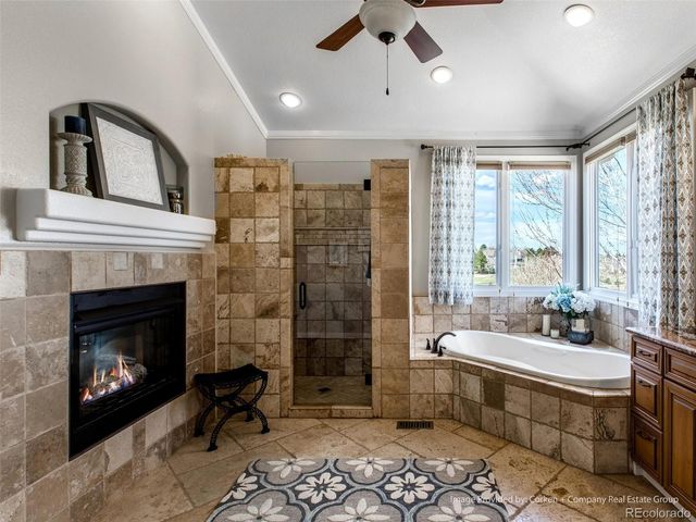 8435 Green Island Circle, Lone Tree, CO 80124
