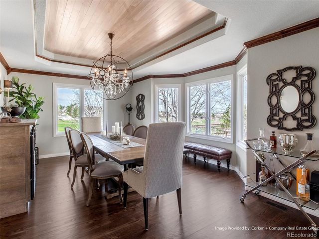 8435 Green Island Circle, Lone Tree, CO 80124