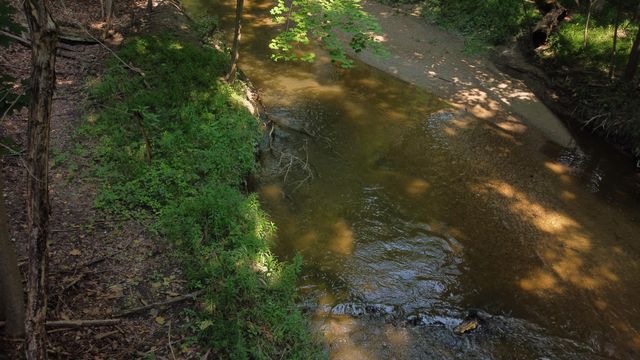 29700 Belfast Street, Farmington, MI 48336