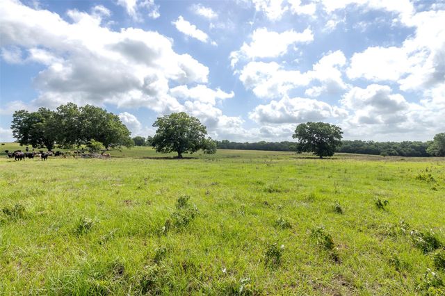 6550 Gibbs Creek Road, Chappell Hill, TX 77426