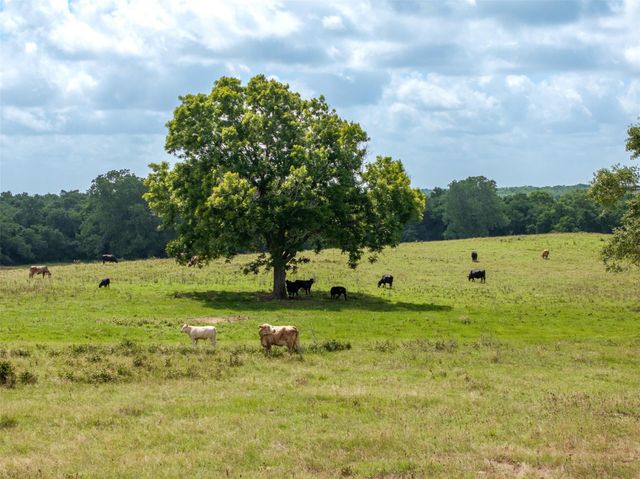 6550 Gibbs Creek Road, Chappell Hill, TX 77426